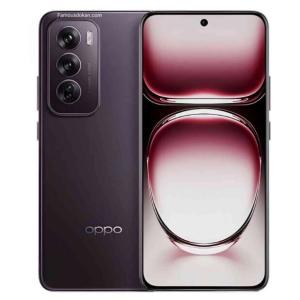 OPPO Reno12 5G 256GB Black Brown